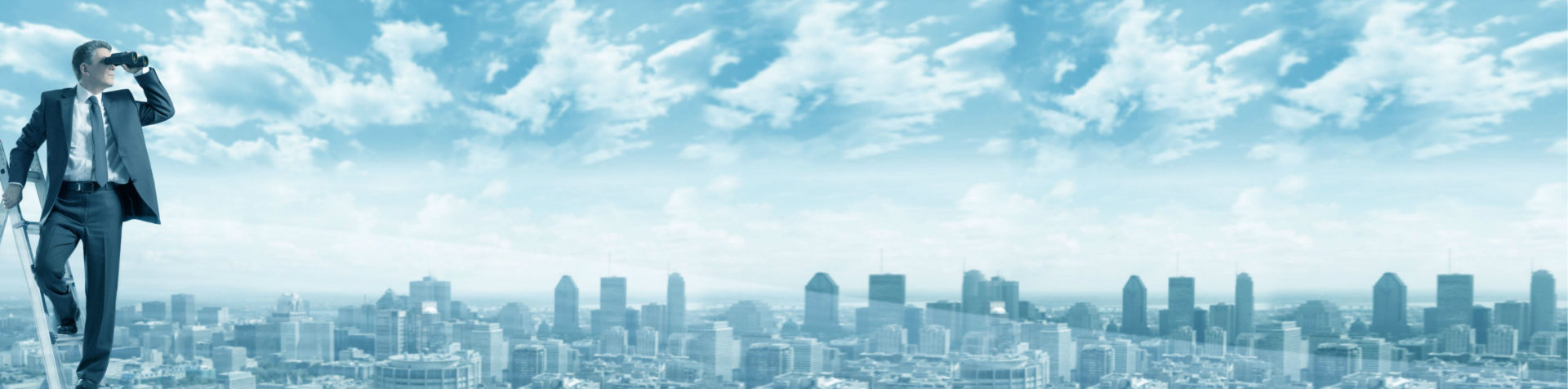 VERITAS LEGAL RECRUITING & ADVISING